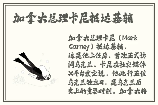 车后车座的疯狂的做细节视频
